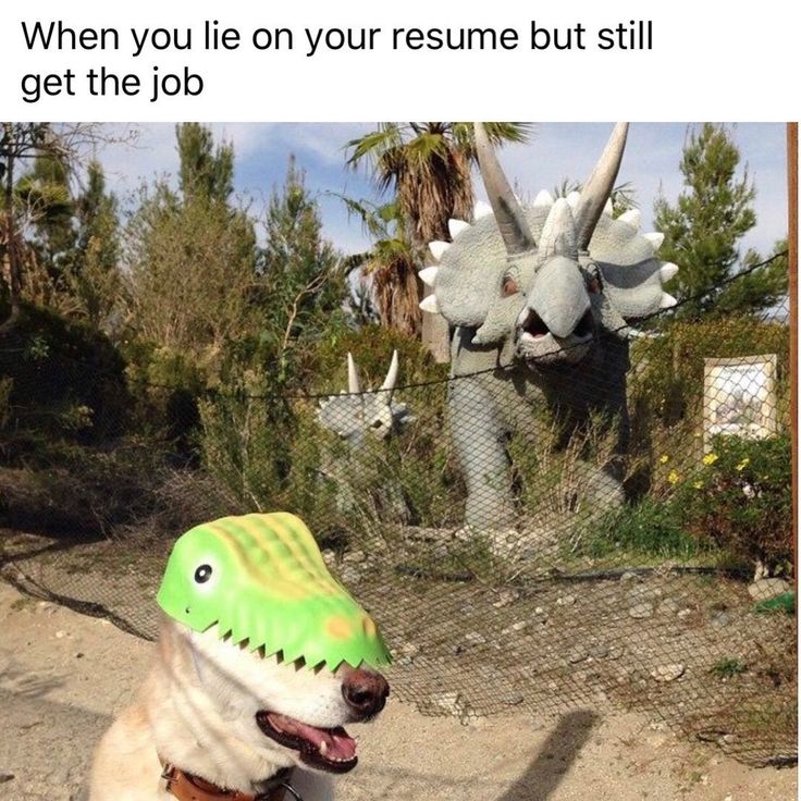 Lying On Your Resumes