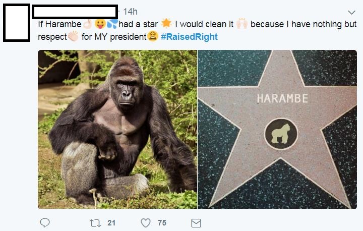 Star Cleaning Meme Gets People To Proclaim Pitbull To Shrek As